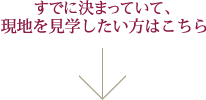 łɌ܂ĂāAnw͂