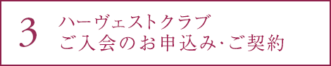 3 n[FXgNû\݁E_