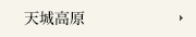 V鍂