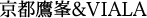 sVIALA